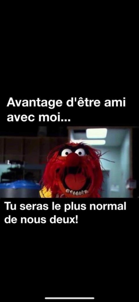 IMG_8307.jpeg