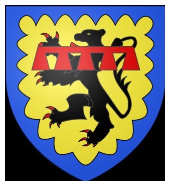 Amplepluis blason.jpg