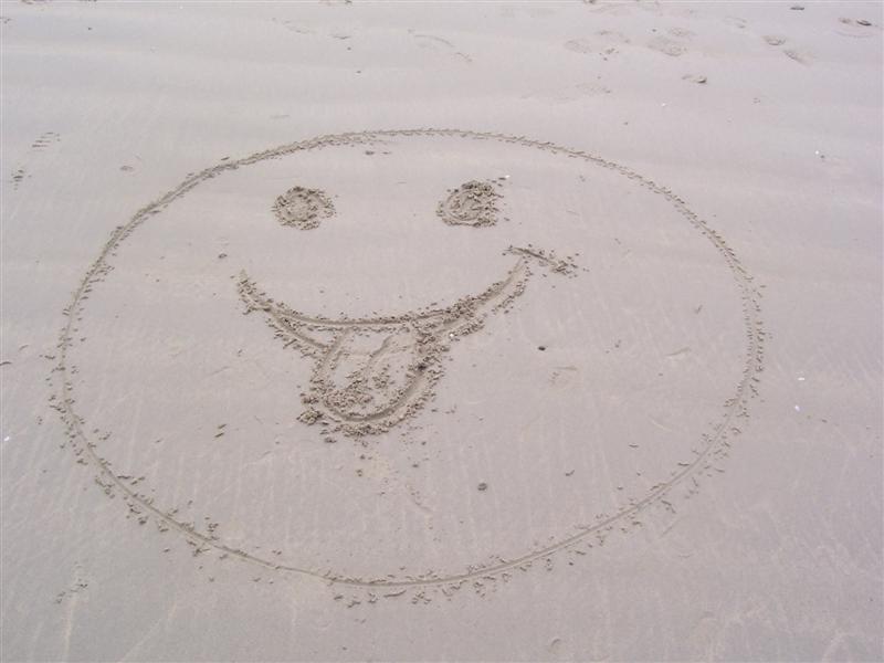 100_2571 (Medium).JPG