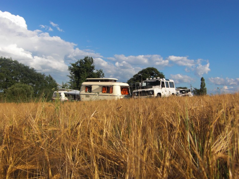 CIMG1228 [800x600].JPG