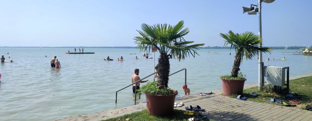 IMG_20240829_121859.jpg