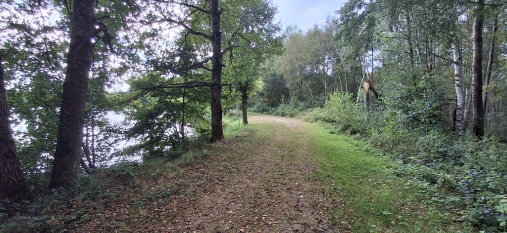 20240901_173152.jpg