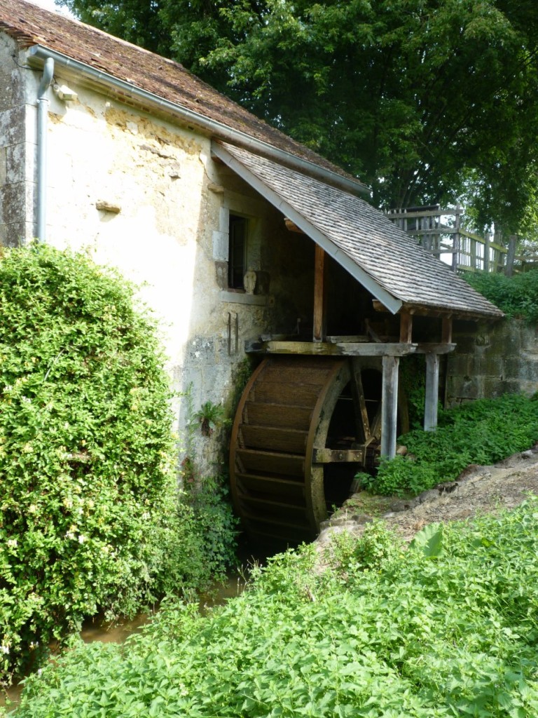 P1150801.JPG