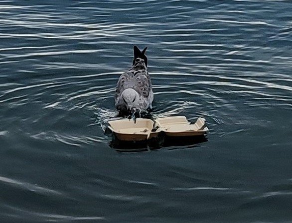 1726240109126 12.jpg