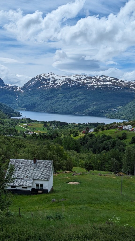 paysage.jpg