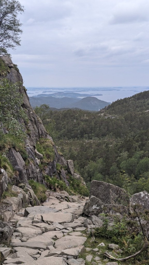 vue fjord.jpg