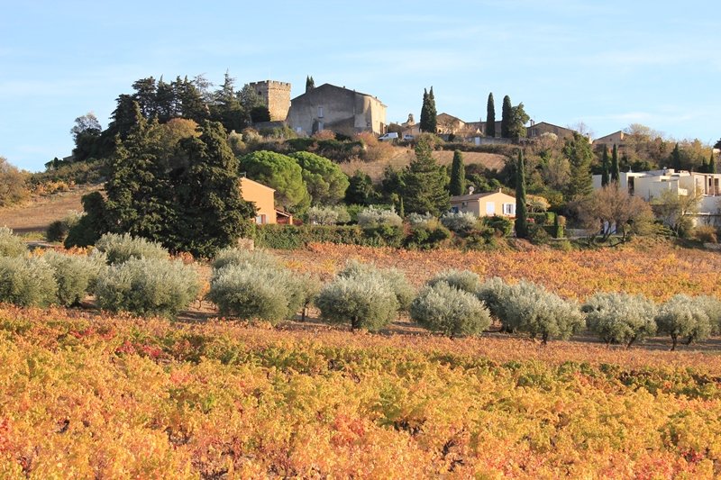 Vaucluse