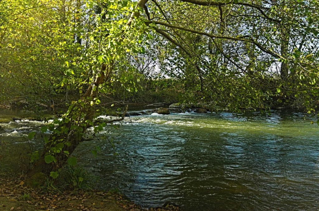 La Louge près de Muret (et non pas la Loue près des Comtois)