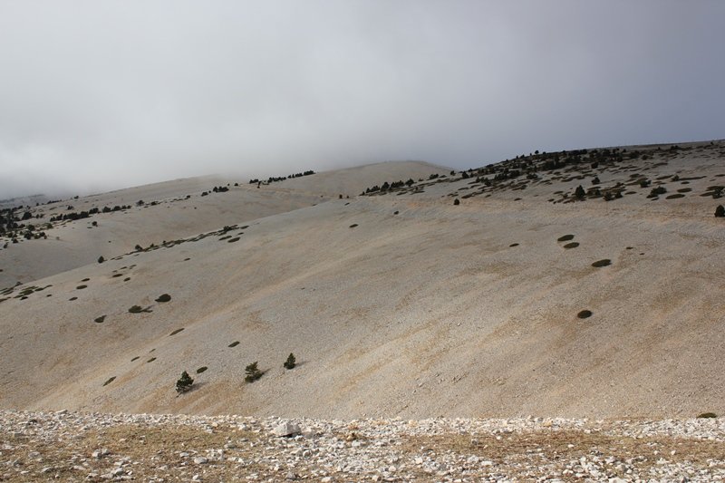 61 - Mont-Ventoux.JPG