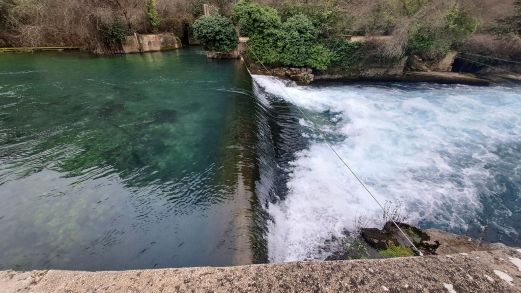 20250128_135234.jpg