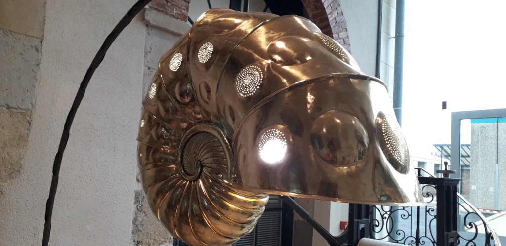 20250208_093715.jpg