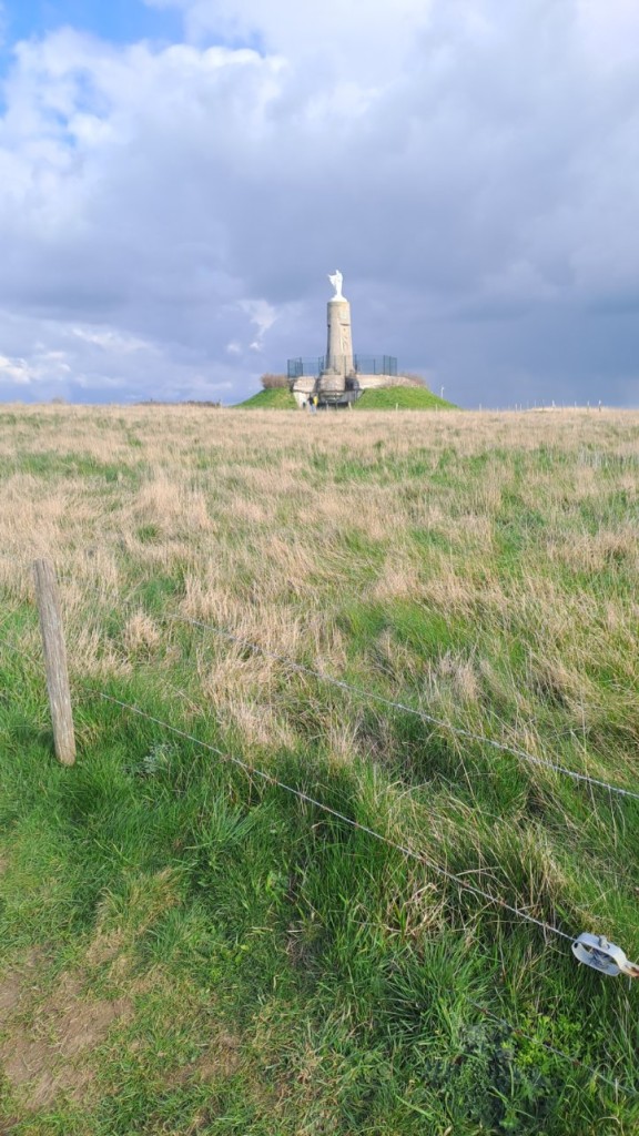 20250314_154619 (1).jpg