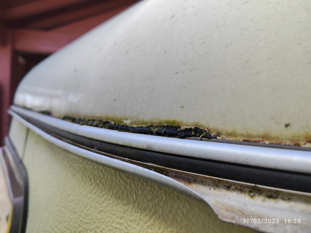 WhatsApp Image 2025-03-30 à 16.55.59_1b22dfaf.jpg