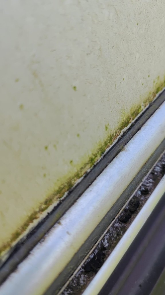 WhatsApp Image 2025-04-04 à 15.06.40_0acc6cb1.jpg