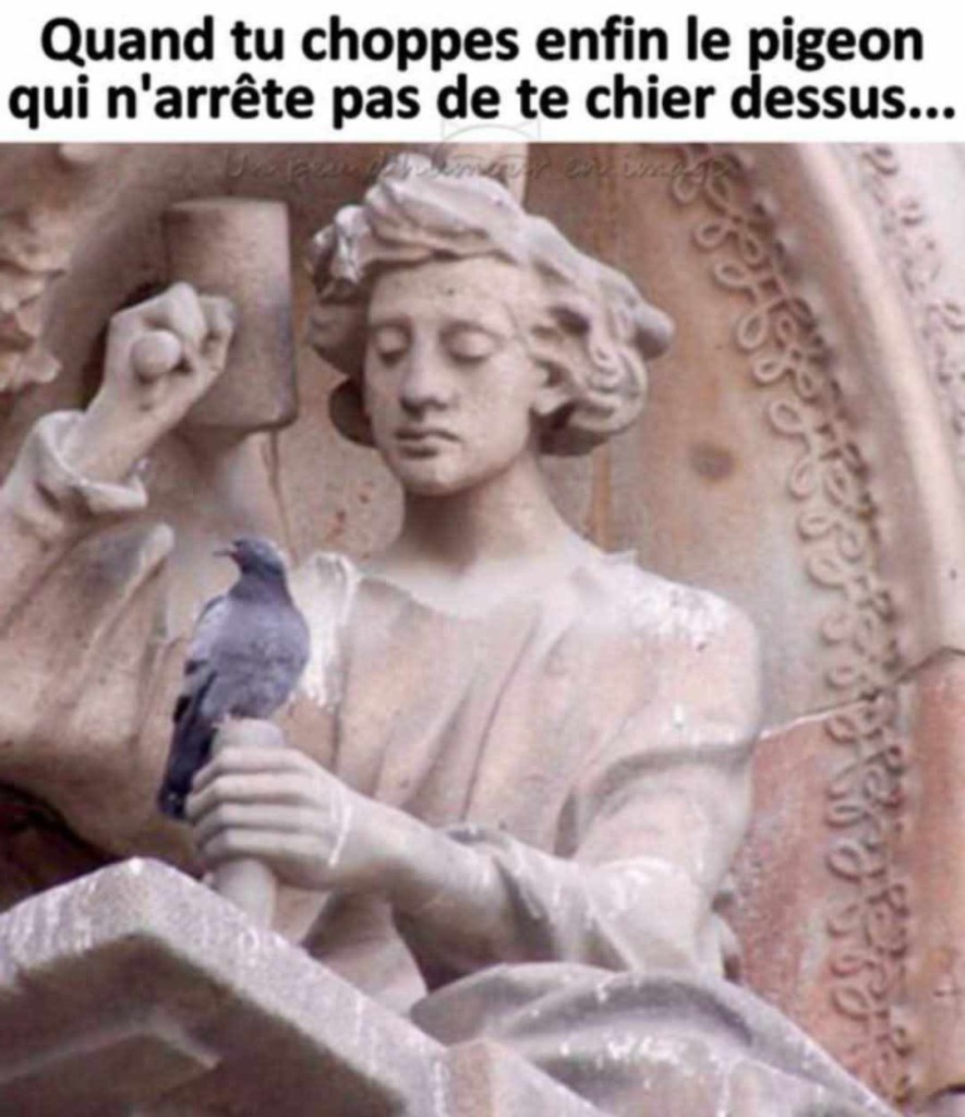 17c62d9b96f5ba4a50d7080e0cd22d42.jpeg