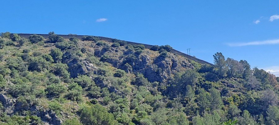20250416_111358.jpg