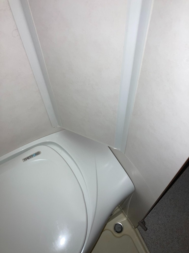 WC cloison int.JPG