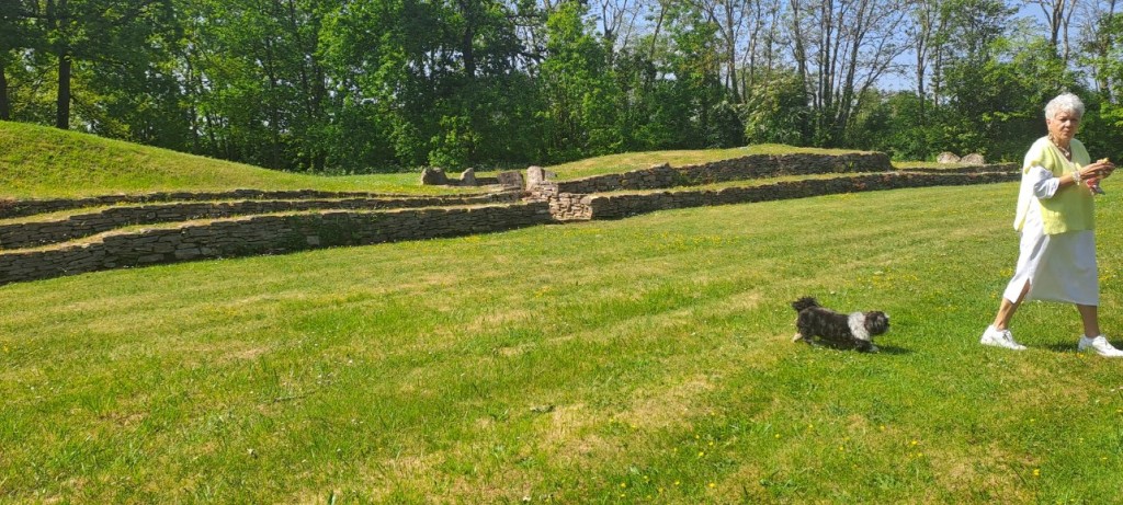 20250509_121047.jpg