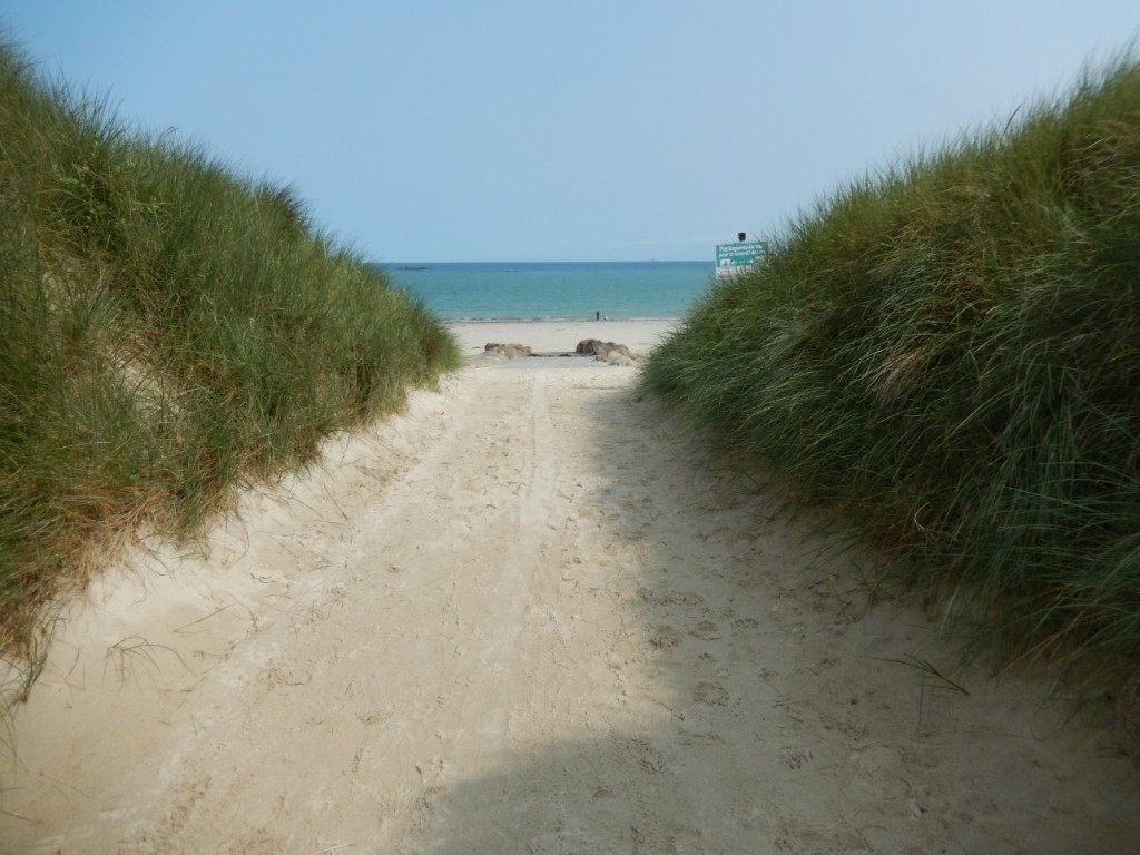 DSCN3398.JPG