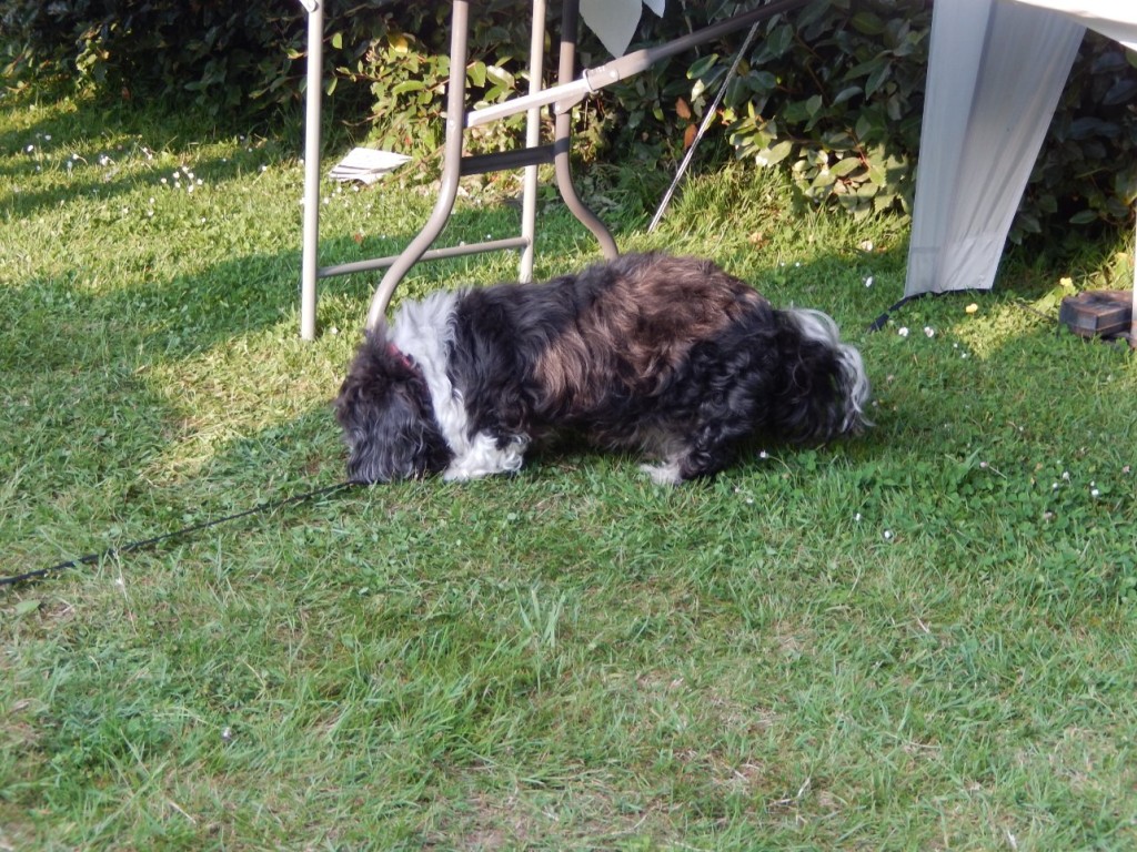 DSCN3433.JPG