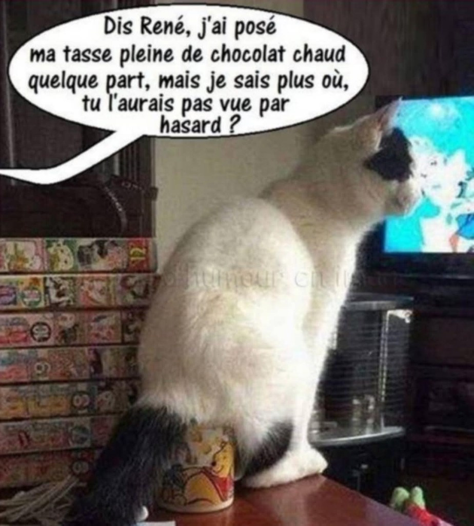IMG_1438.jpeg