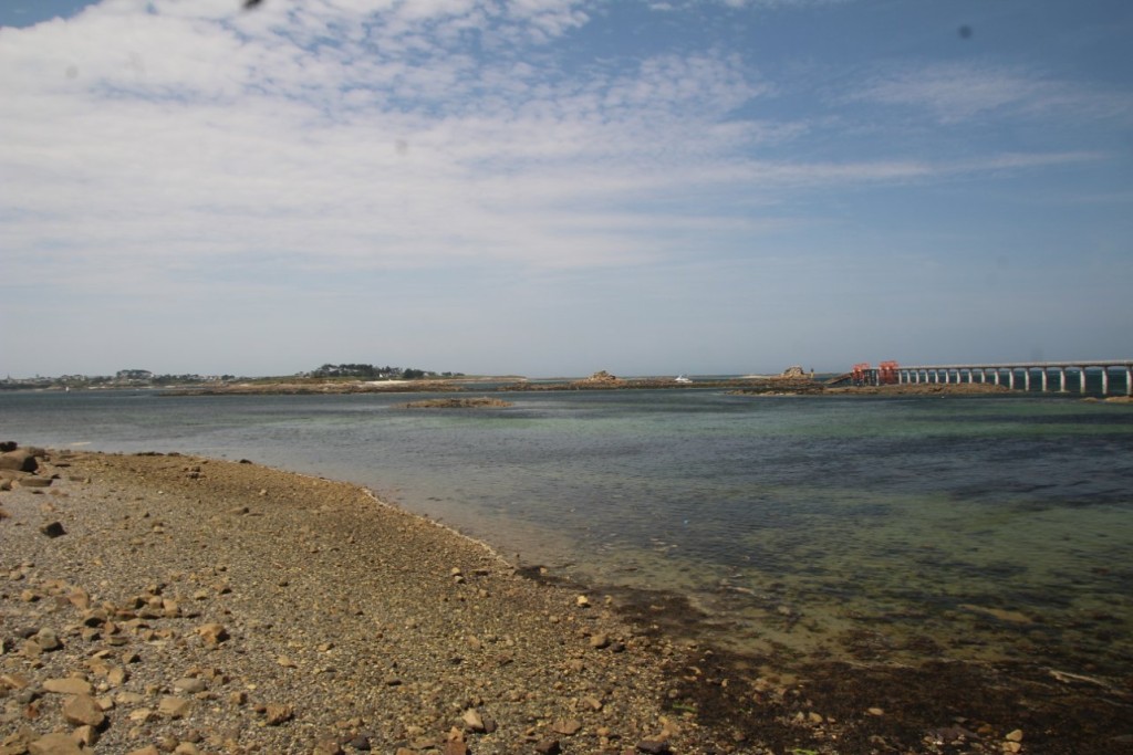 IMG_6360.JPG