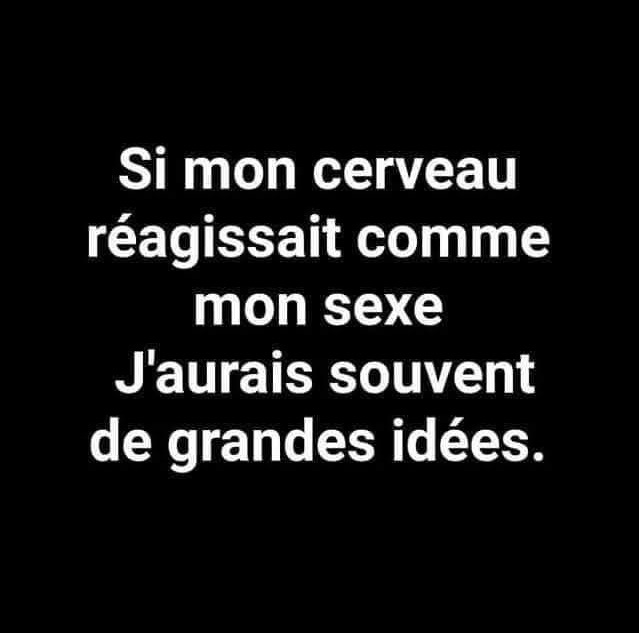 IMG_1566.jpeg