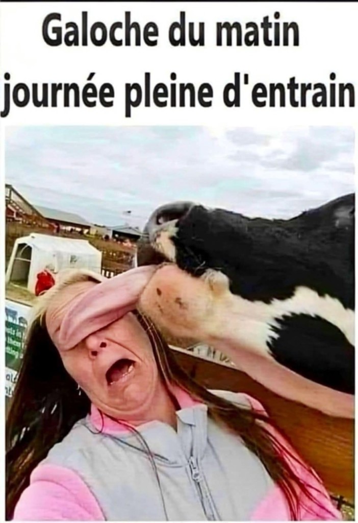att.E41039IB_GbiUBJucrPI8eUy0PDsMfgv8-mpcwYgXJ8.jpeg