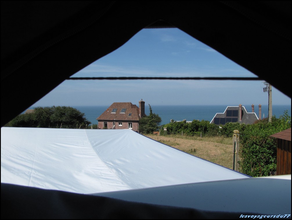 une vu de notre champignon