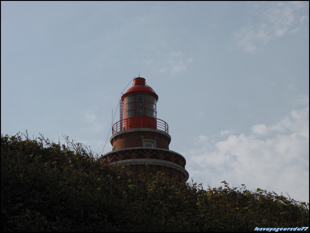 IMG_0361 [1000X750].JPG