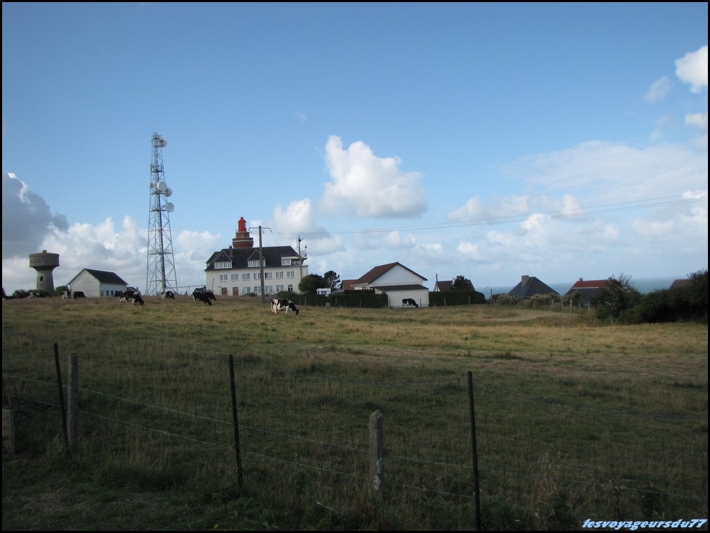 IMG_0425 [1000X750].JPG