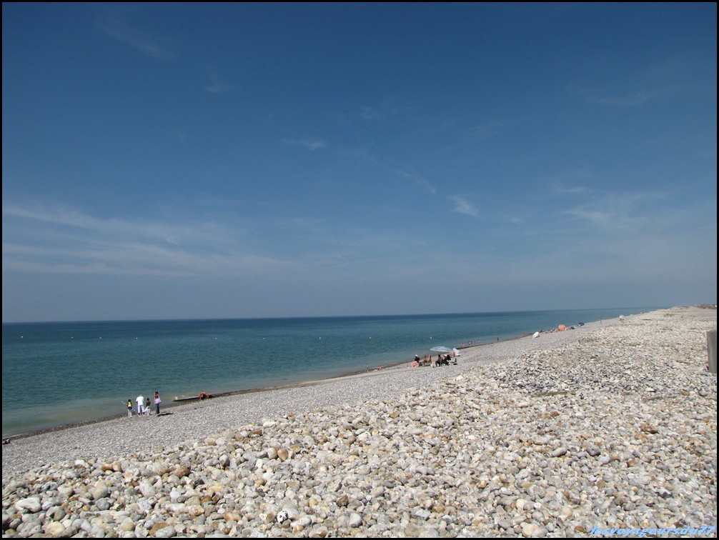 IMG_0263 [1000X750].JPG