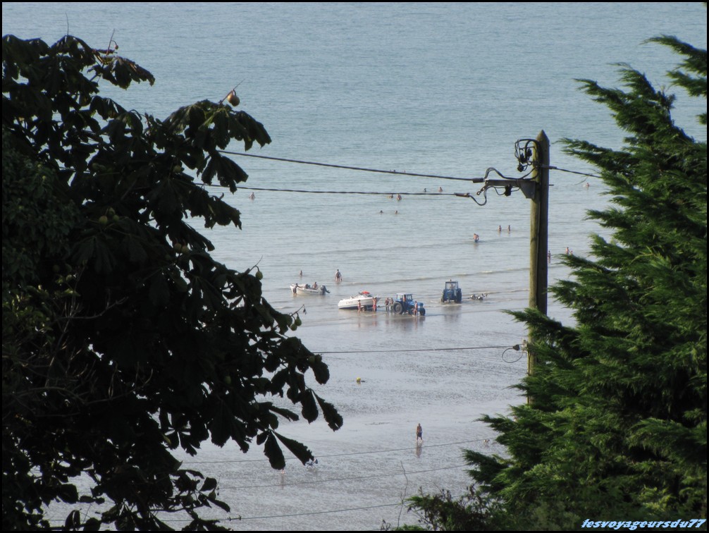 IMG_0293 [1000X750].JPG