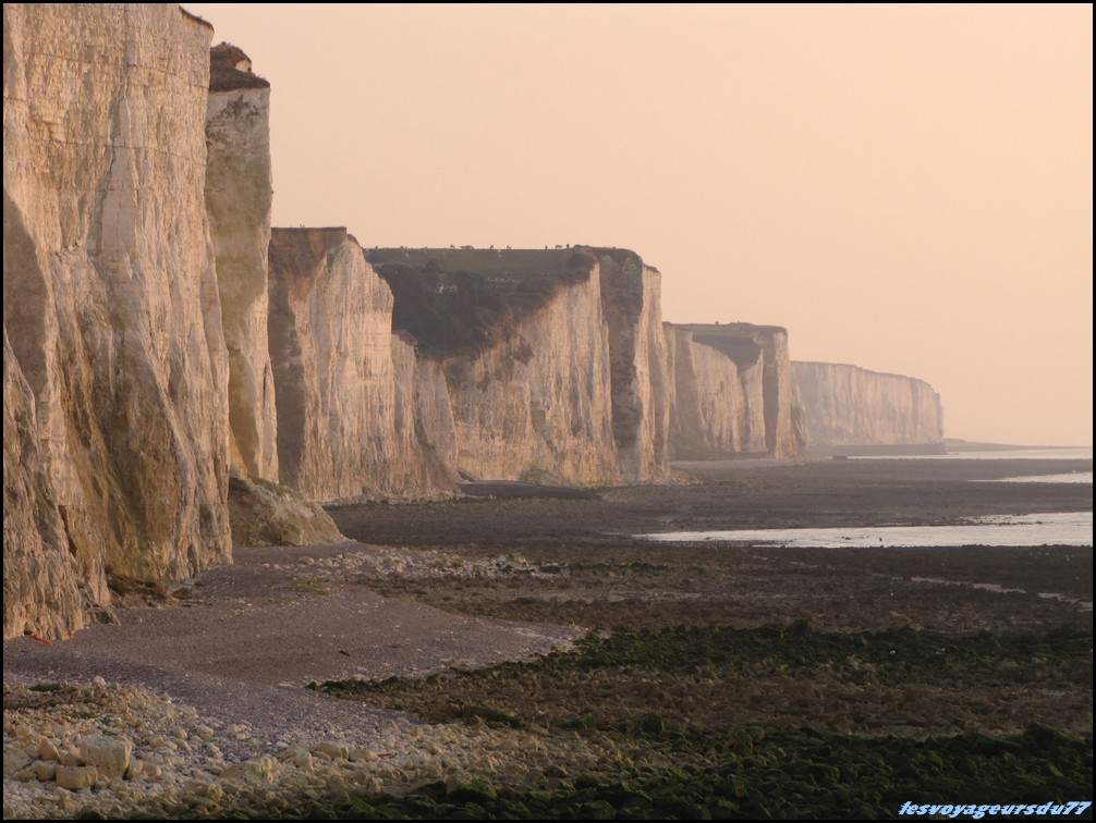 IMG_0327 [1000X750].JPG