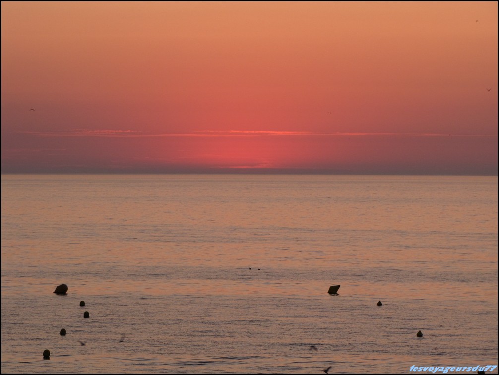 IMG_0344 [1000X750].JPG