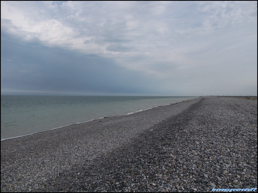 IMG_0378 [1000X750].JPG