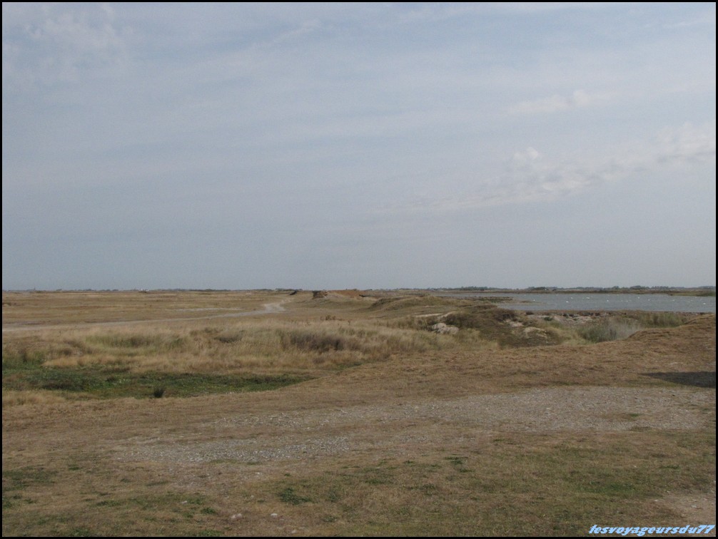 IMG_0398 [1000X750].JPG