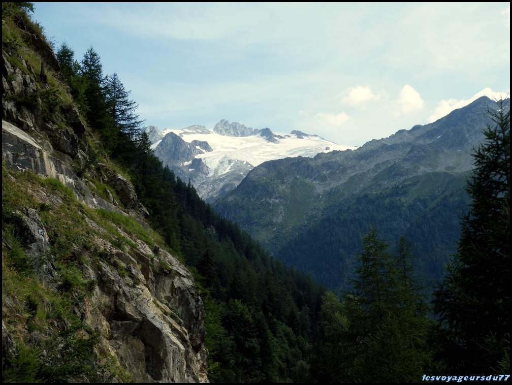 rtsuis [1000X750].JPG