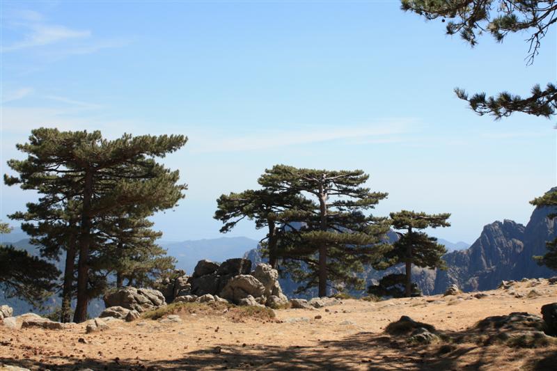 Ballade aux Aiguilles de Bavella