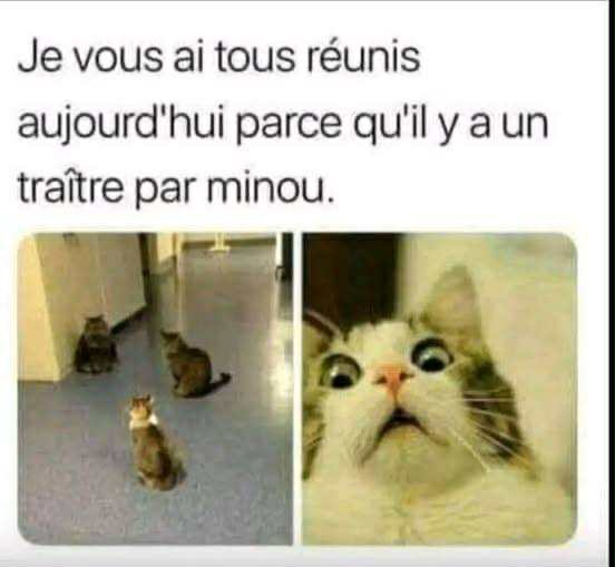 att.19luKaVgBNYv9ix9U6ZqAOR4TAQ1cMdYcCf8532vvXw.jpeg