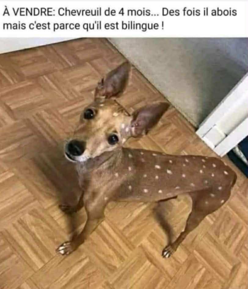 att.q-Jjzs_CQrrOTttMtNcKDGEUkJTWCJyalNQ7_F1IRCA.jpeg