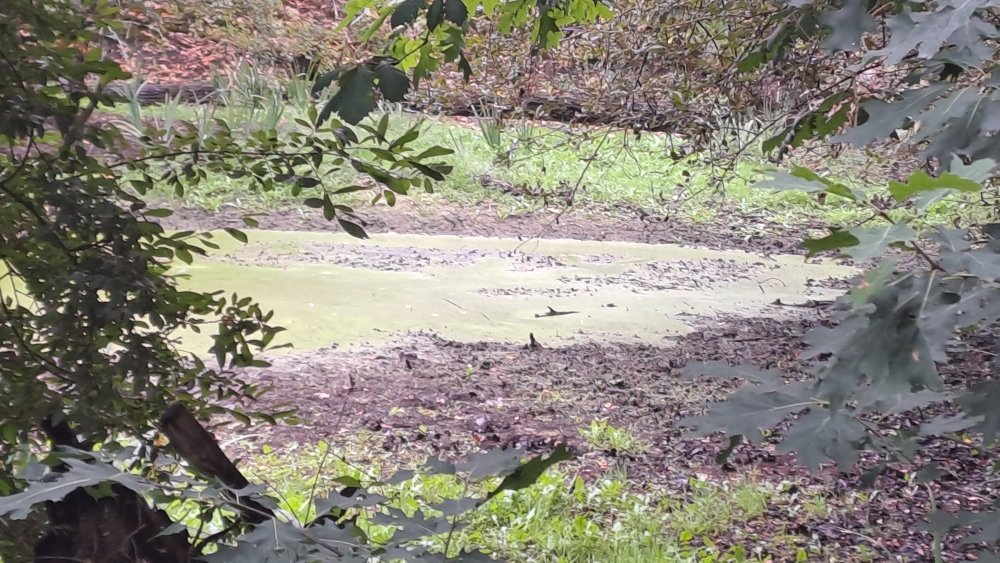 Canal creusé par erreur puis arrêté au bout d'un an de travaux. Pas facile à retrouver la trace.