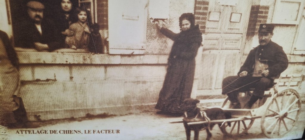 Le facteur du village tracté par son chien ! Olblack au boulot !