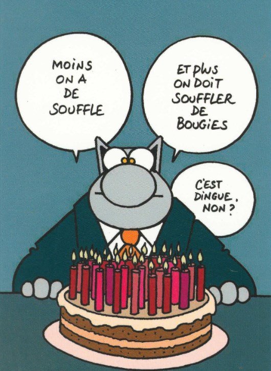 le chat.jpg