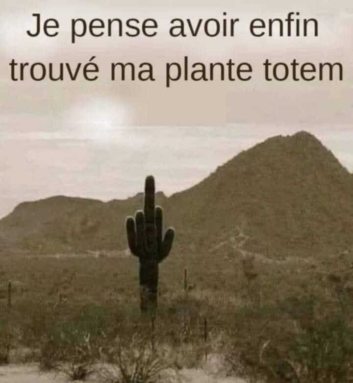 att.4xdQr6FobVObzIk4yhgcB67zldLxPMNPAIB3NmmB4W0.jpeg