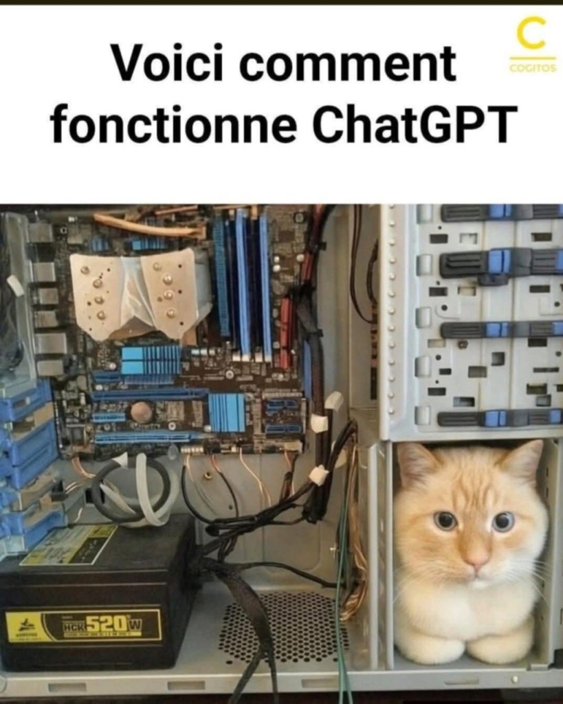 att.bNhnJiwHIWQ5ls4ePcEFtLaxa6y8DTVNDMhrfEL9zws.jpeg