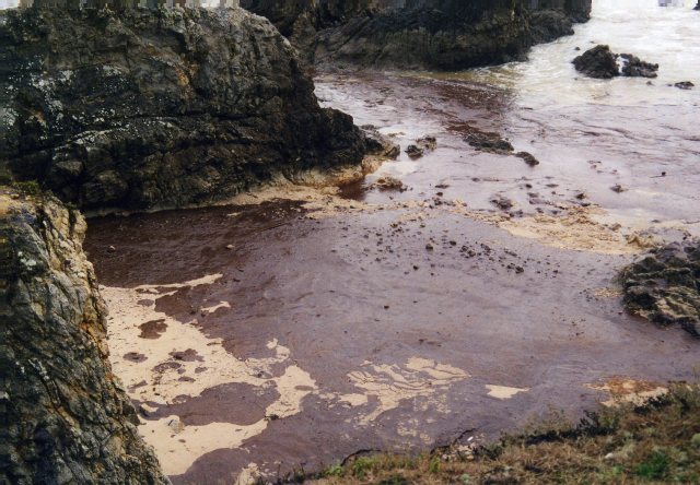 HORAIRE IMMAC 2009  2010 121.jpg