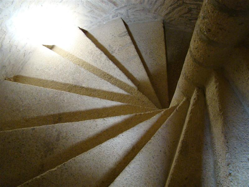 DSC06142 (Medium).JPG