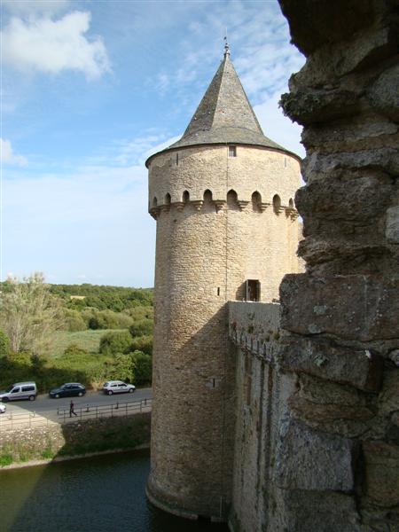 DSC06162 (Medium).JPG