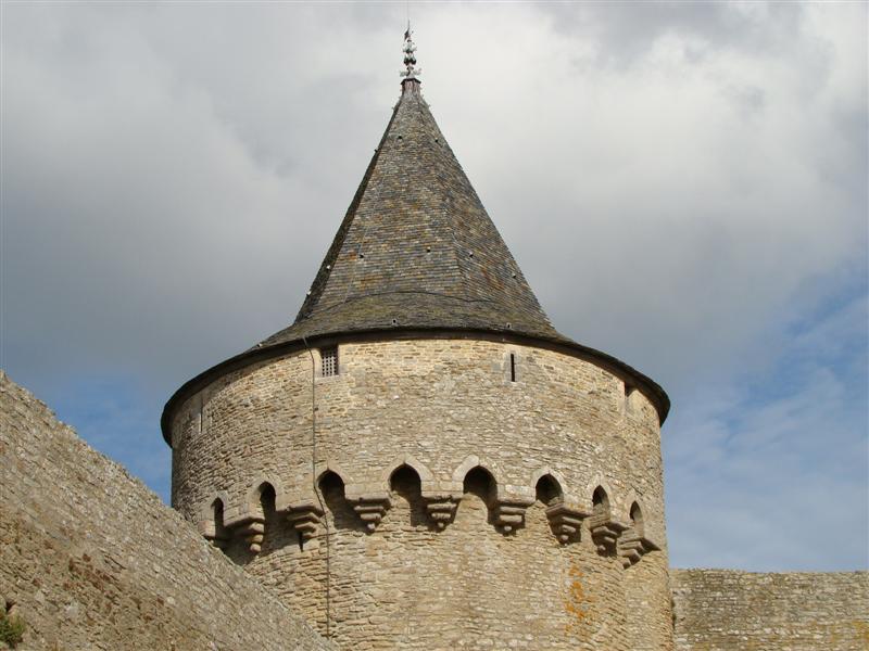 DSC06196 (Medium).JPG